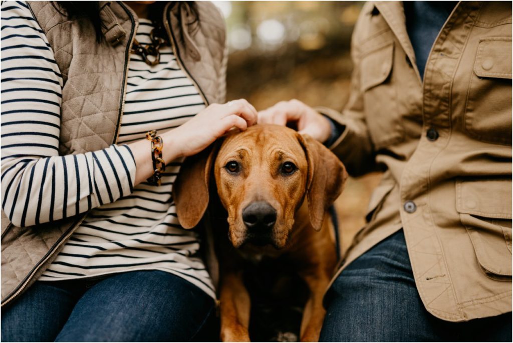 Wisconsin family photographer