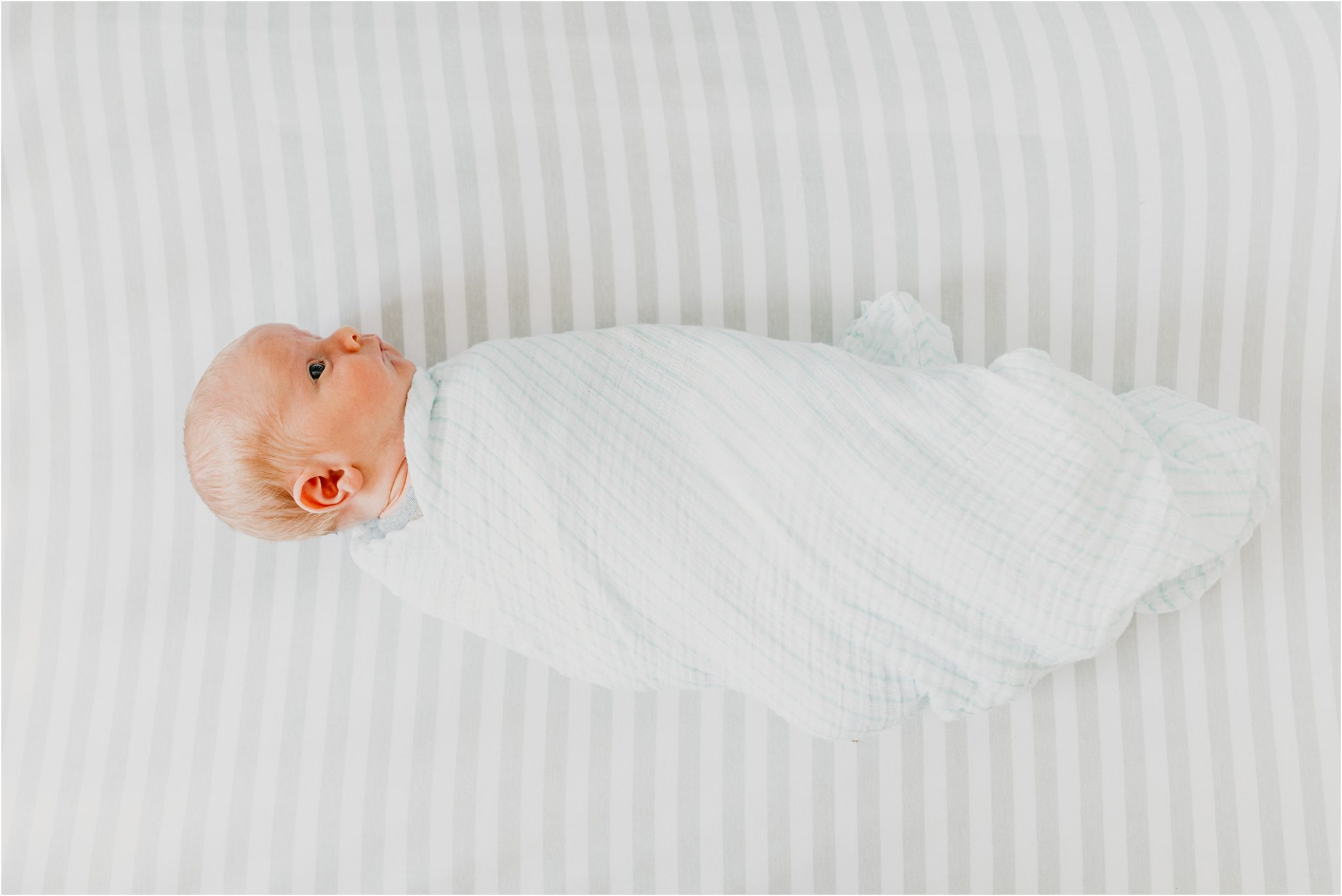 sweet phi newborn photography