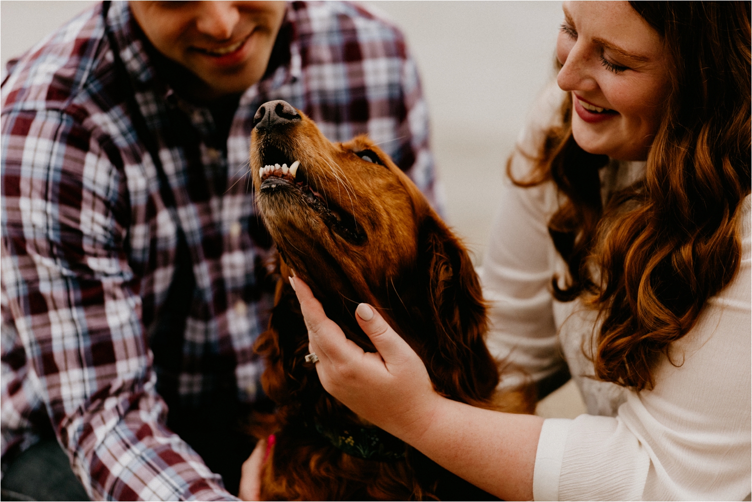 wisconsin dog photographer studio 29 photography