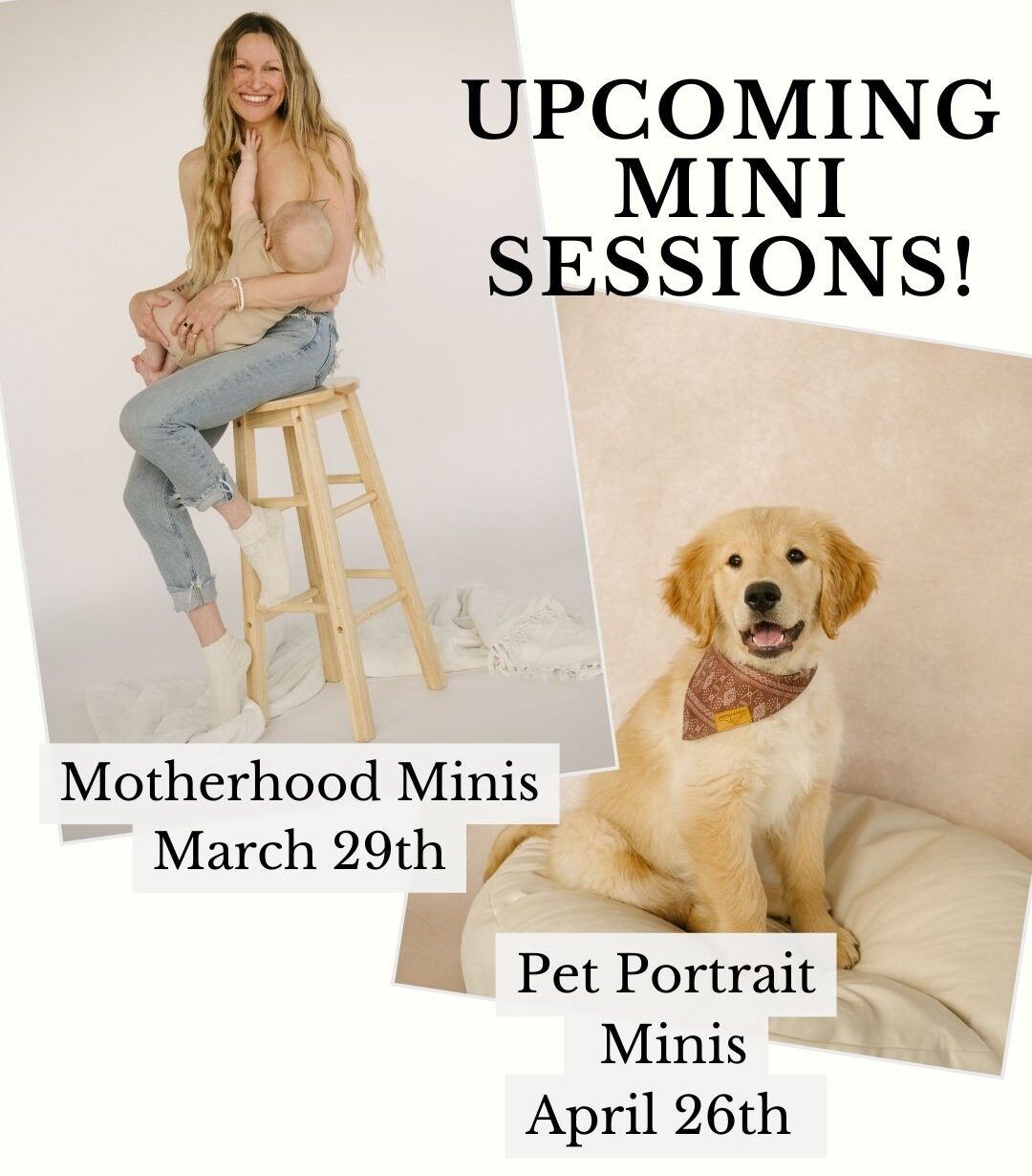 March Motherhood Mini Sessions